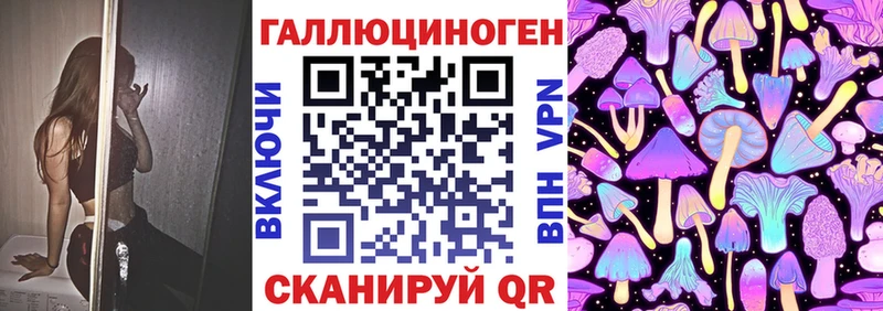 Галлюциногенные грибы Psilocybine cubensis  Кохма 